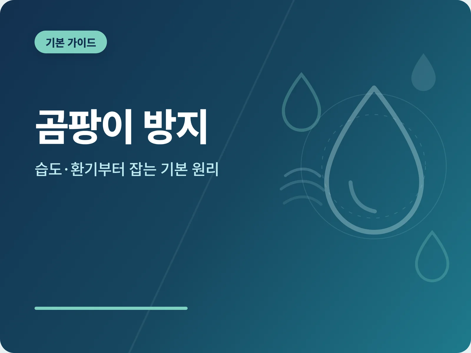 곰팡이 방지