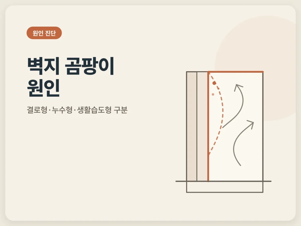 벽지 곰팡이 원인 가이드 썸네일