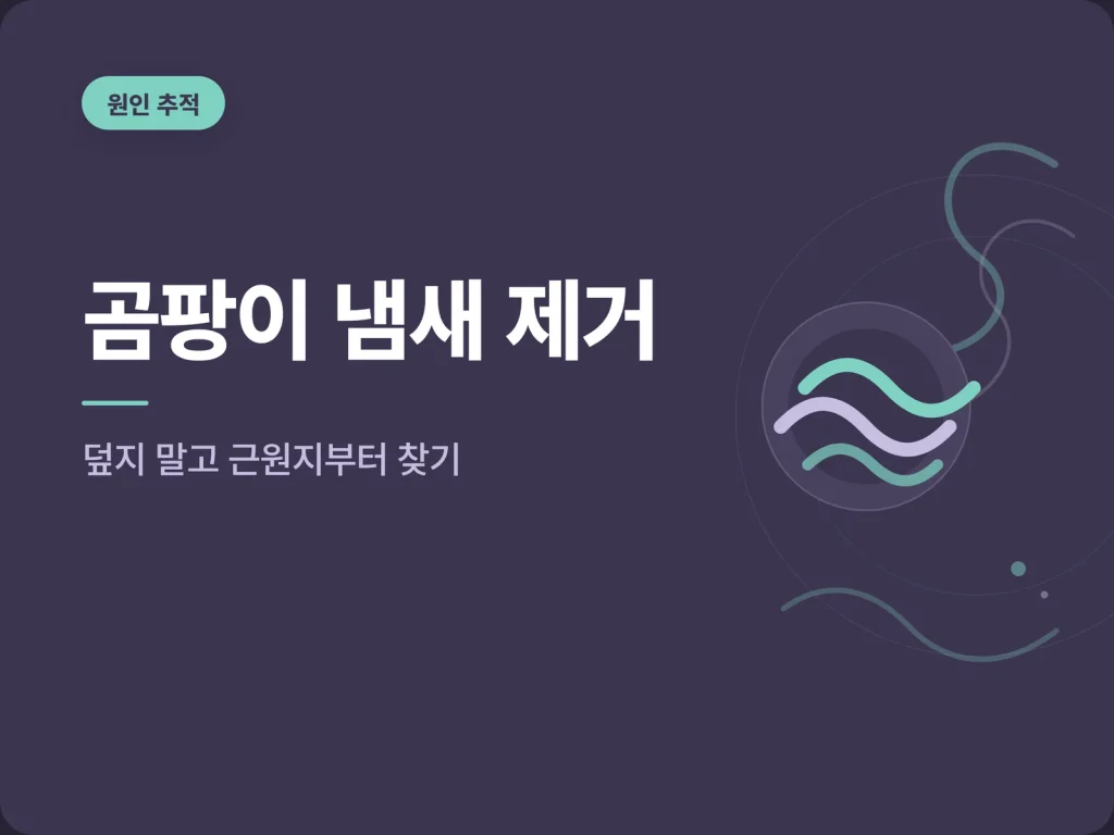 곰팡이 냄새 제거 가이드 썸네일
