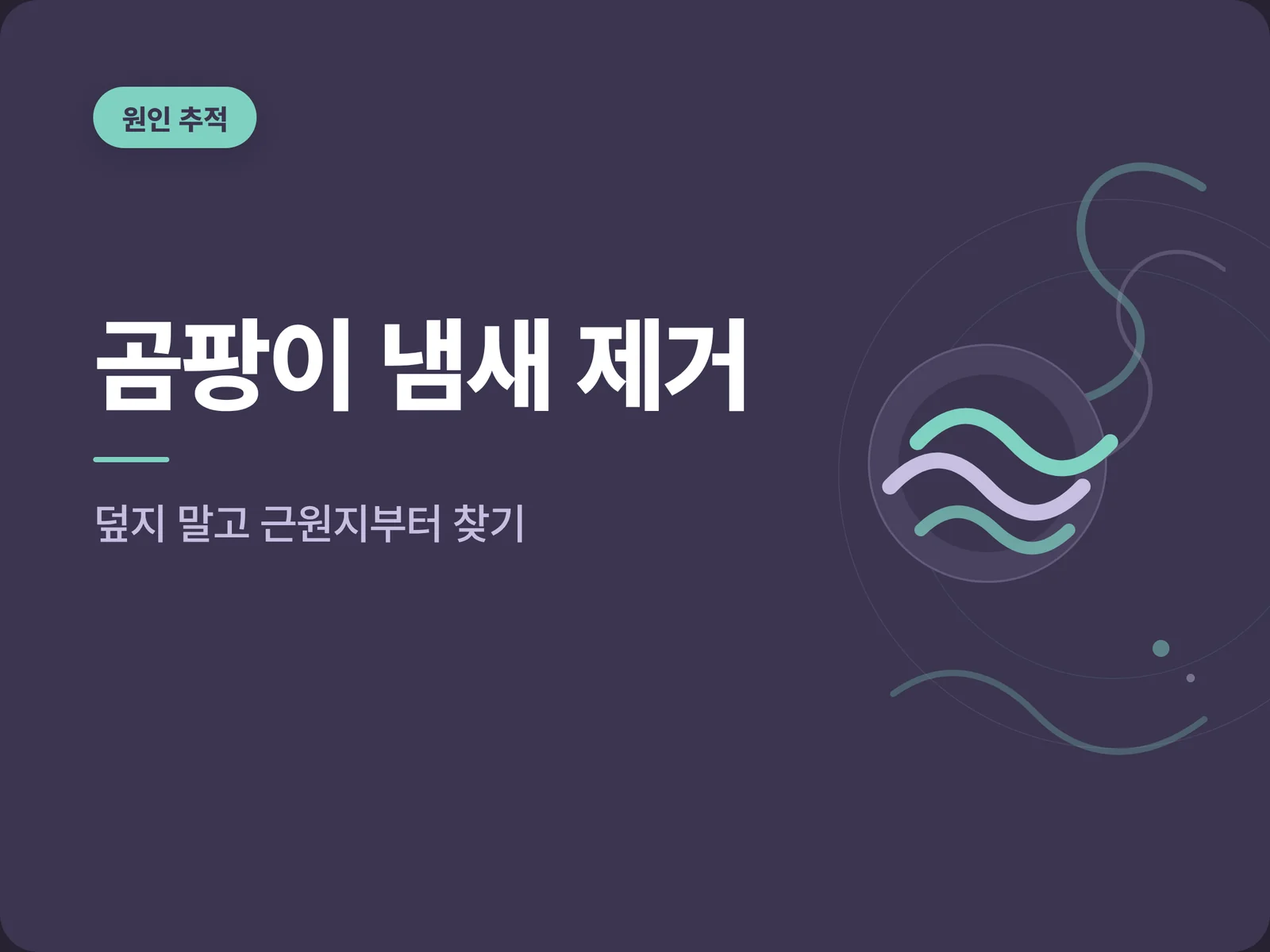 곰팡이 냄새 제거